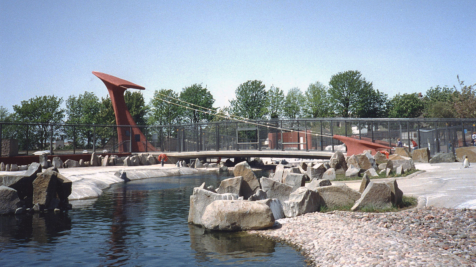 PENGUIN POOL