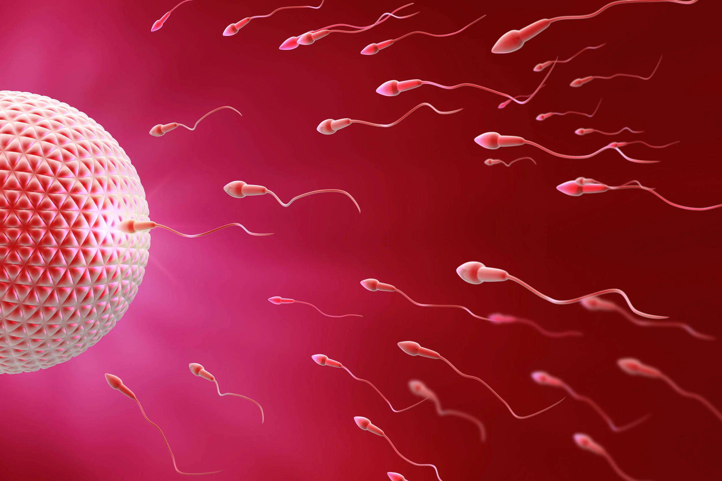 IUI.jpg