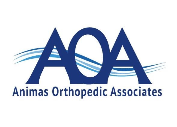 Animas Orthopedic Logo(1).jpg