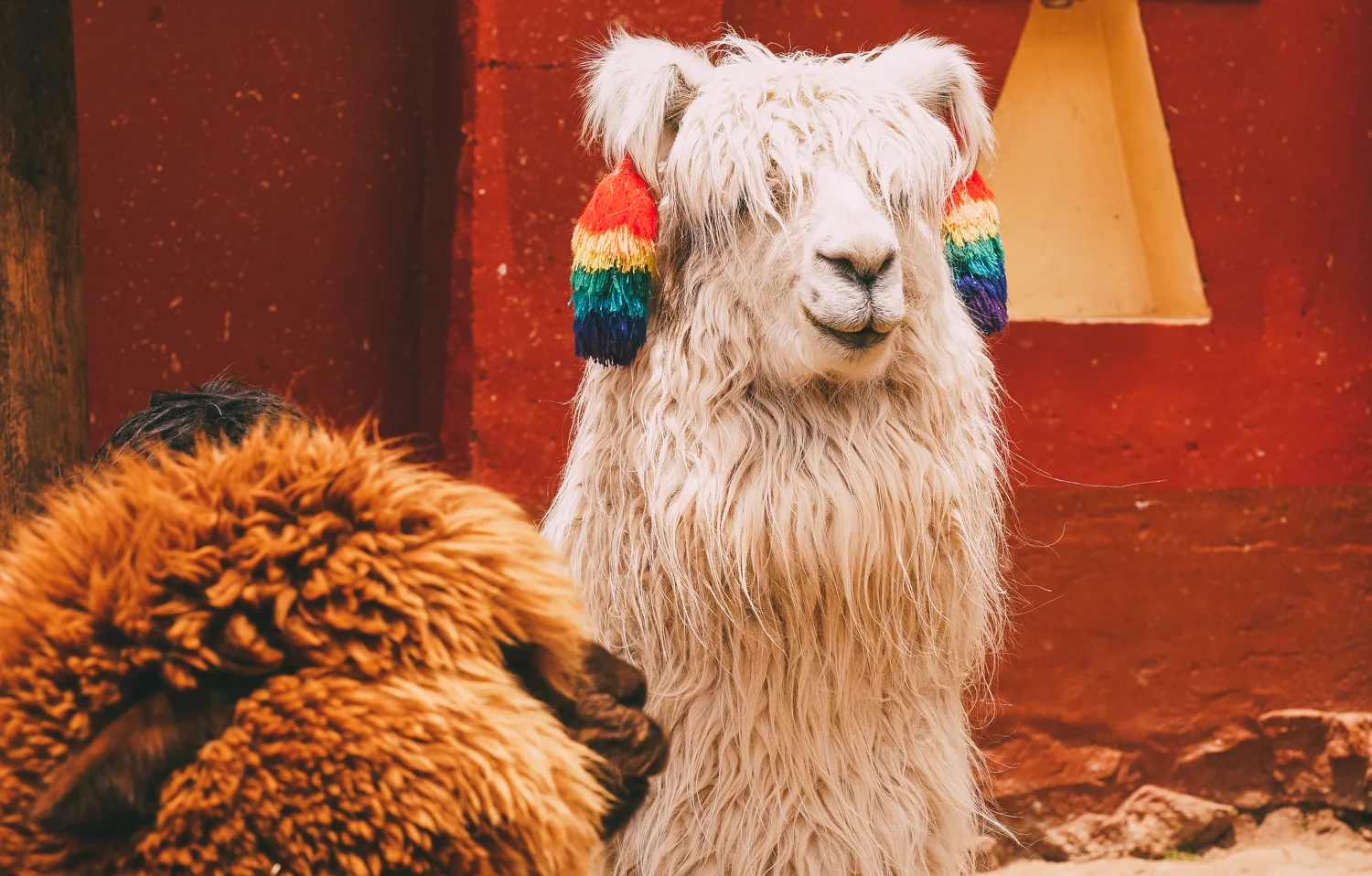 PERU2016-261.jpg