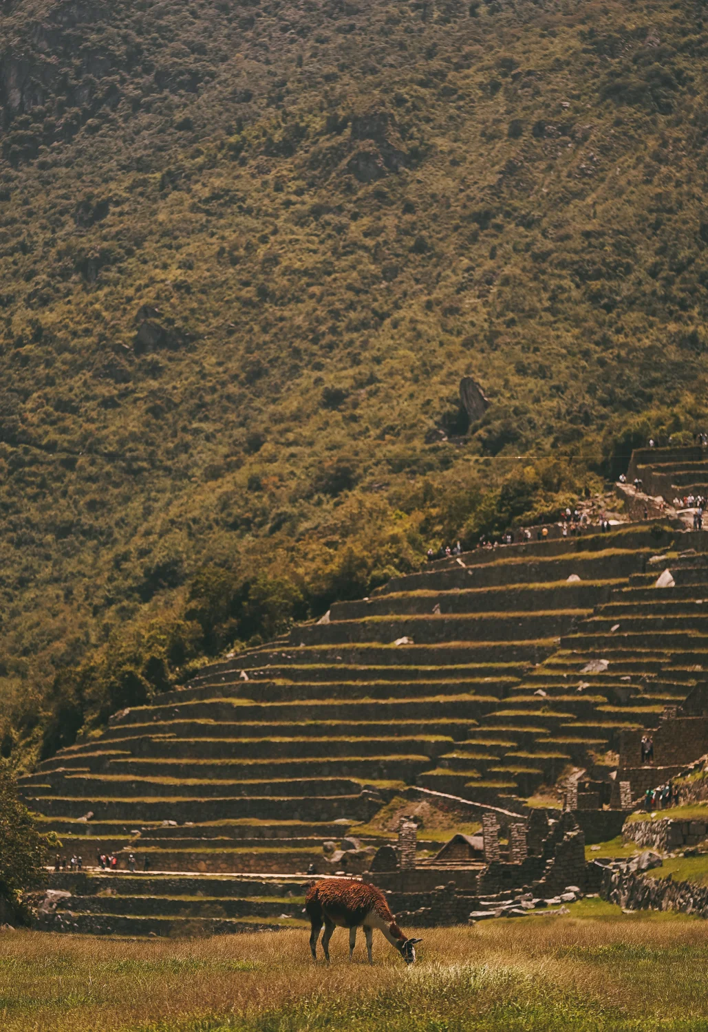 PERU2016-307.jpg