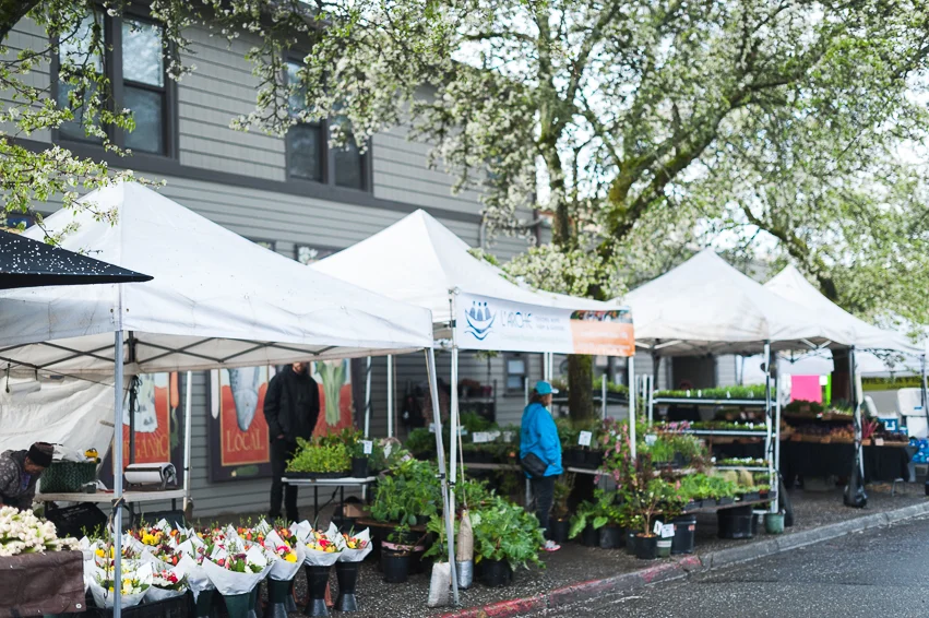 mykitchenyear_market_002.jpg