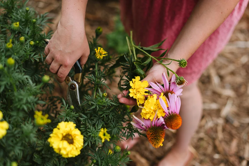 20190809_AnneofGreenGables_002.jpg