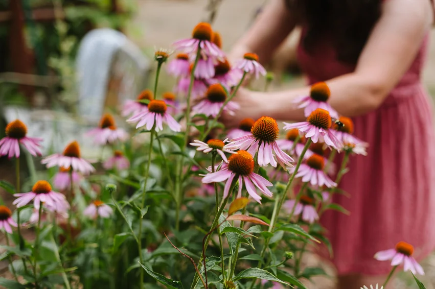 20190809_AnneofGreenGables_001.jpg