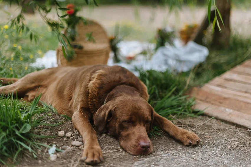 20190809_AnneofGreenGables_023.jpg