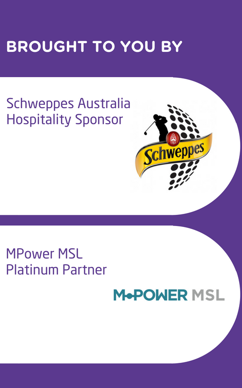 networking sponsors.png
