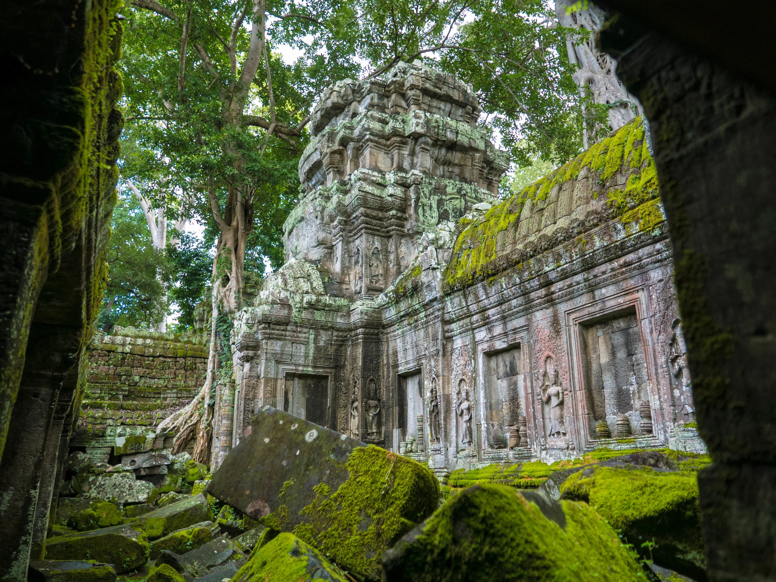 Ta Prohm - Angkor - Cambodia.jpg