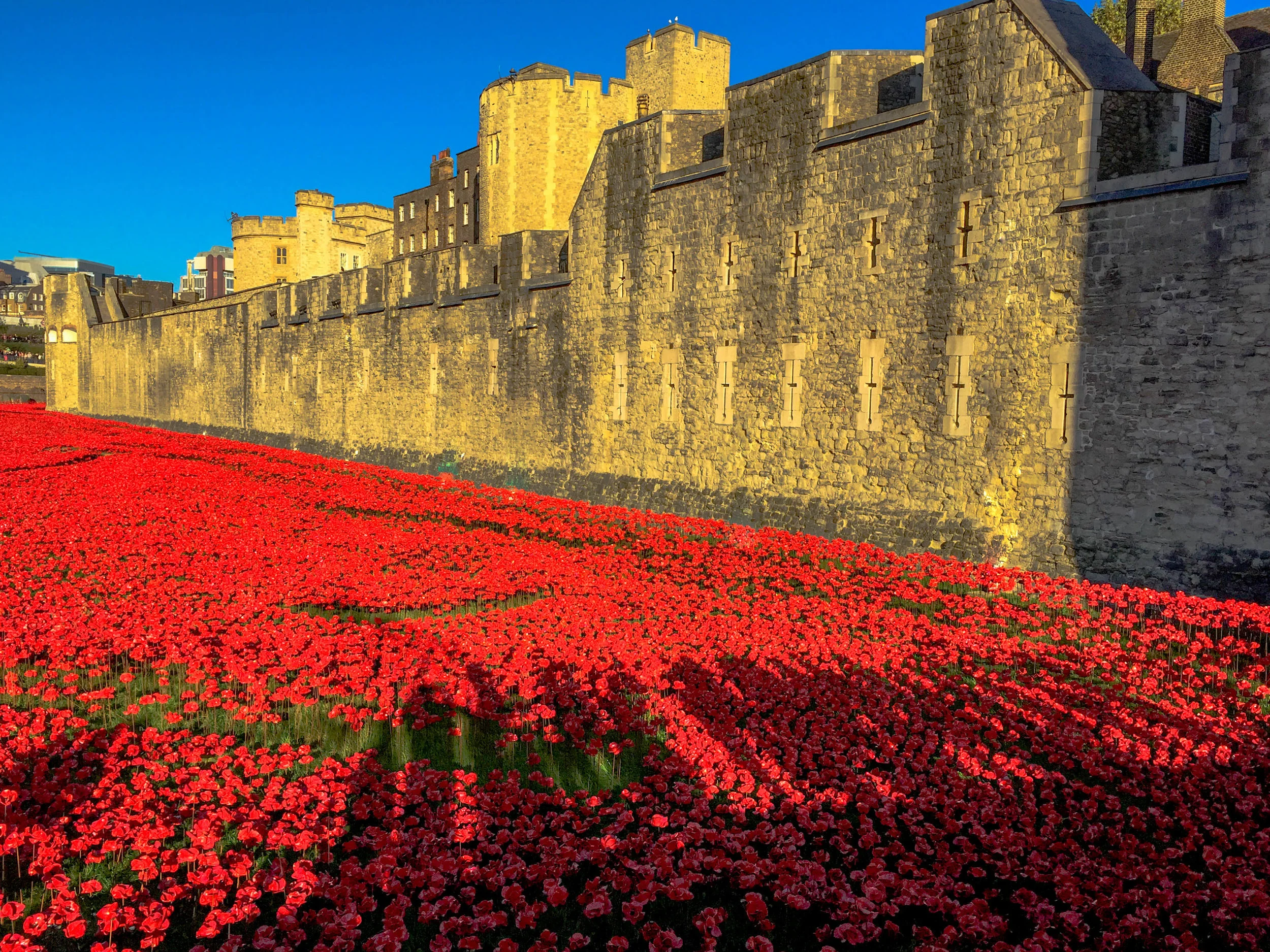 England Roses Castle.jpg
