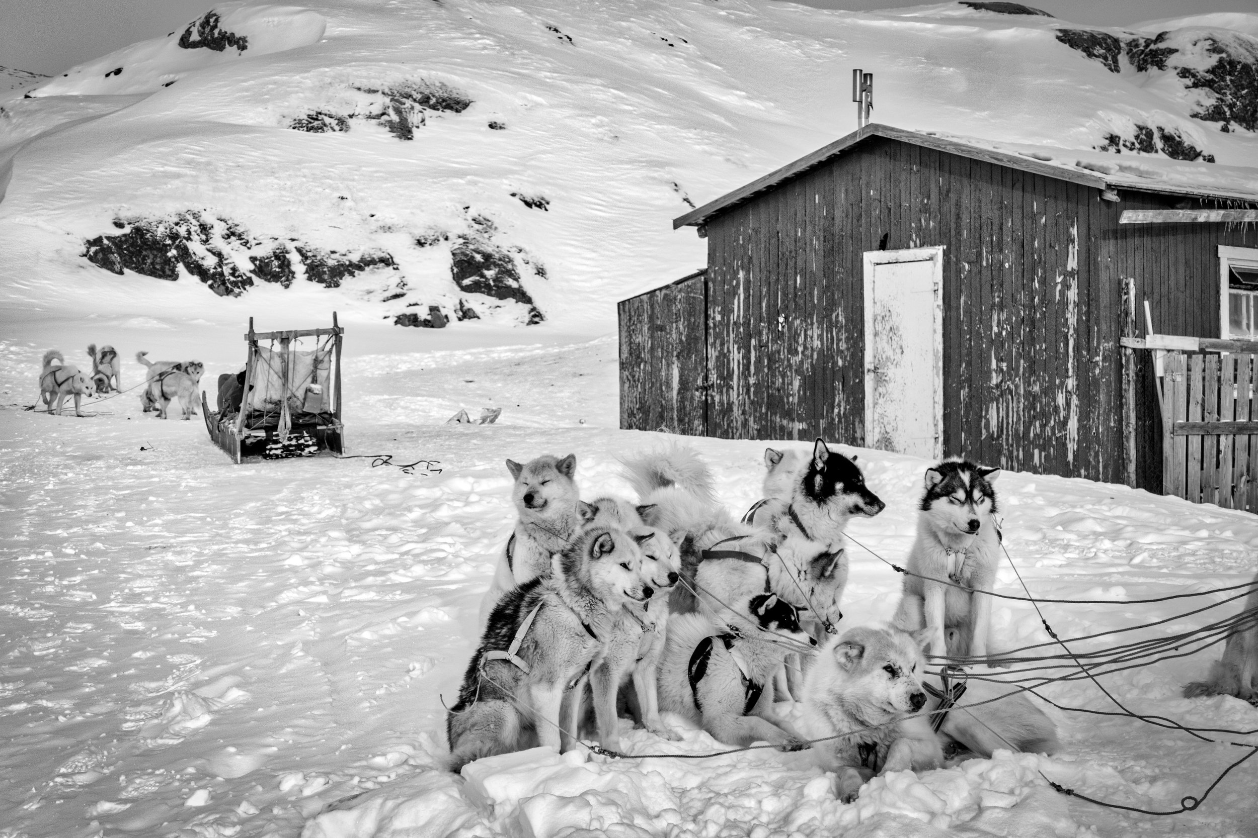 Greenland Dogsled Hut.jpeg