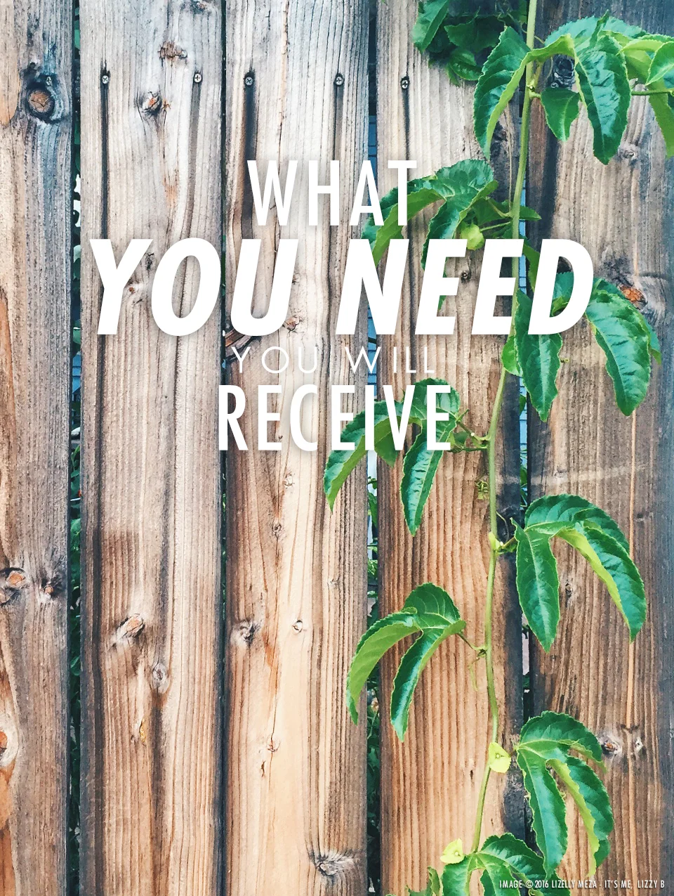 In Perfect Timing—What You Need You Will Receive // It's Me, Lizzy B - Musings on Life, Business, & The Pursuit of Everyday Joy // Personal blog of Lizelly Meza from Lizzy B Loves