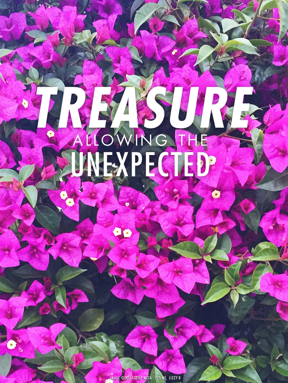 Treasure—Allowing the Unexpected// It's Me, Lizzy B - Musings on Life, Business, & The Pursuit of Curiosity // Personal blog of Lizelly Meza
