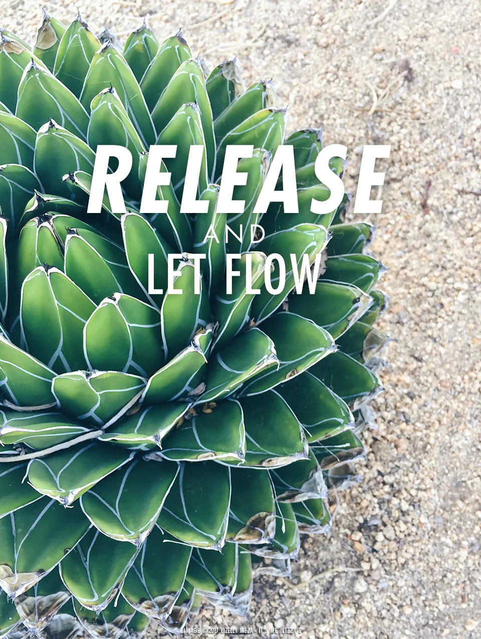 Release and Let Flow—Alignment Before Action // It's Me, Lizzy B - Musings on Life, Business, & The Pursuit of Curiosity // Personal blog of Lizelly Meza