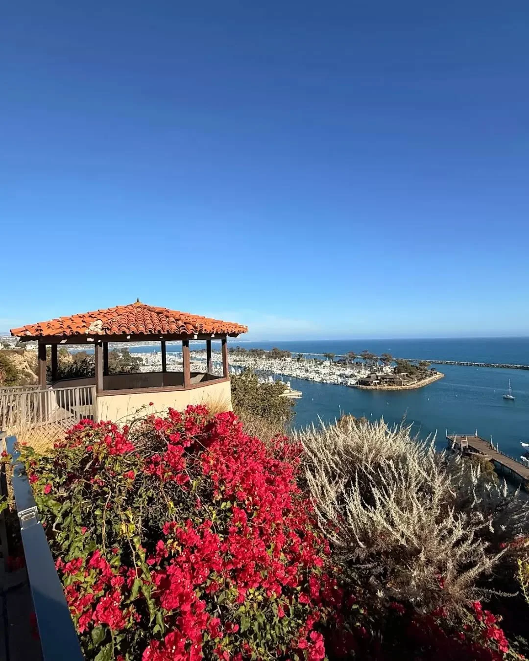 Our favorite view. 😍

📸: Alp N., Google user

#CoastalKitchen #OCEats #DanaPoint