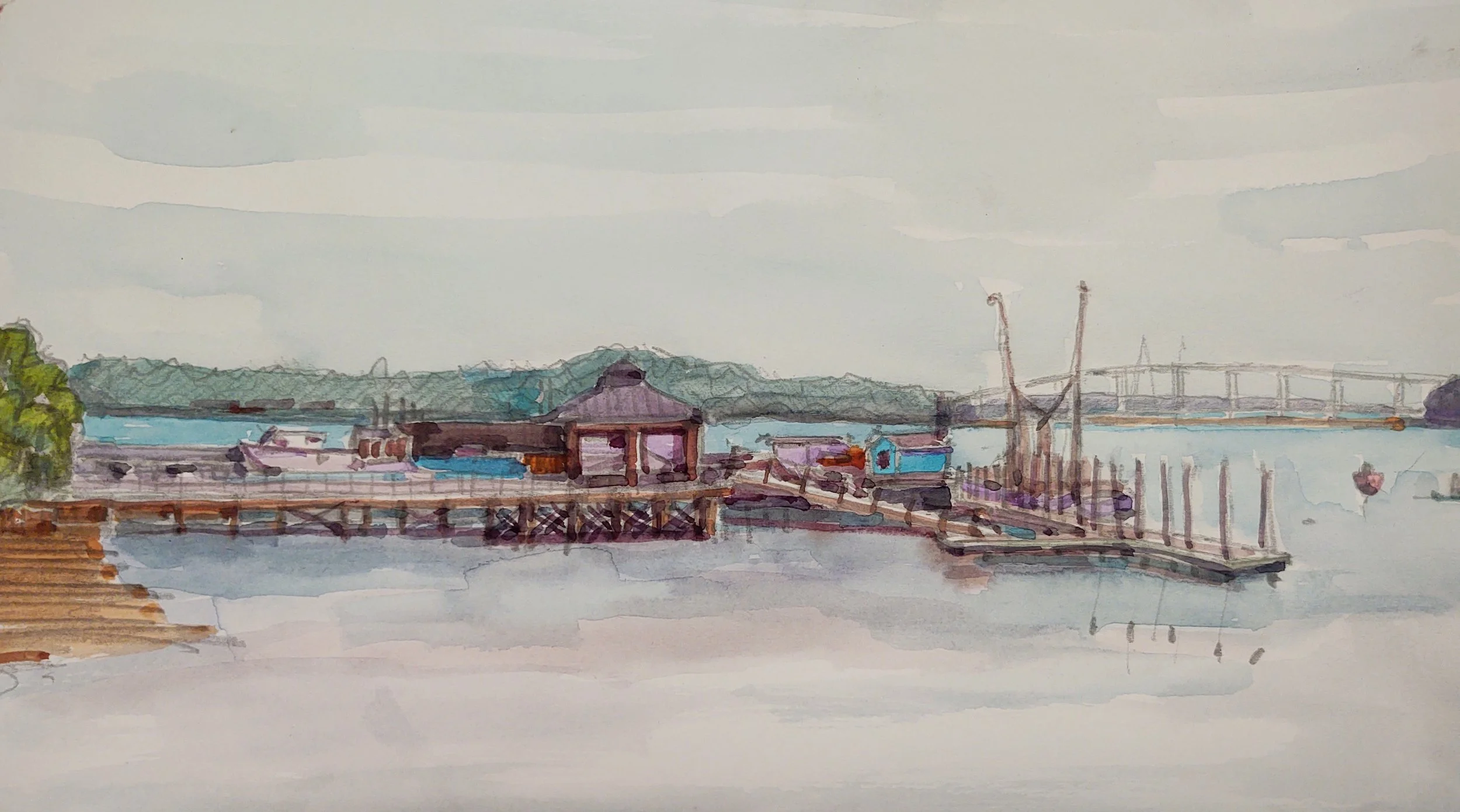 So. Carolina, Water color 2020