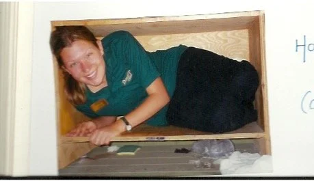 Denali Summer with Orange Blossom Publishing