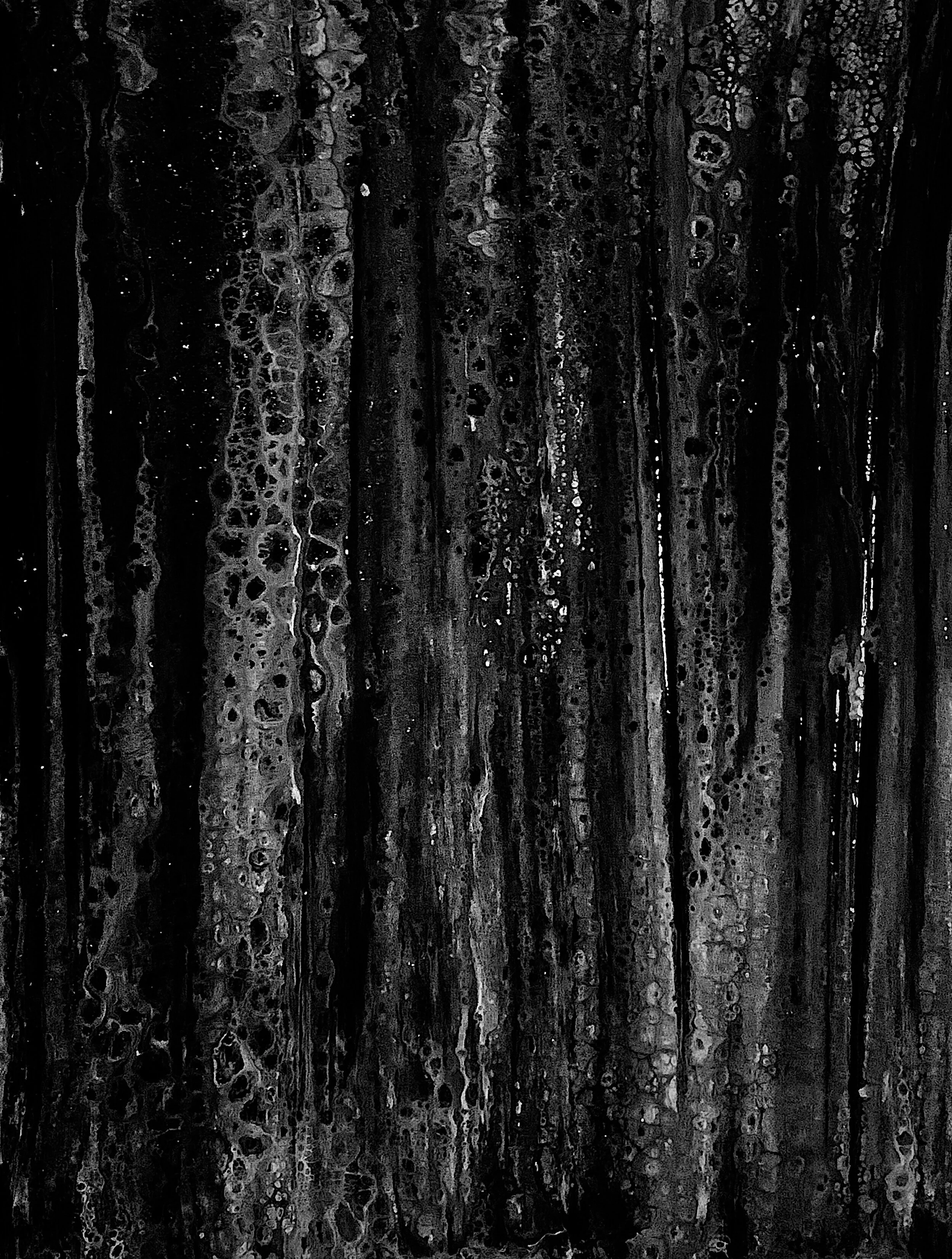 Photo by el5ida rexhepi on Unsplash