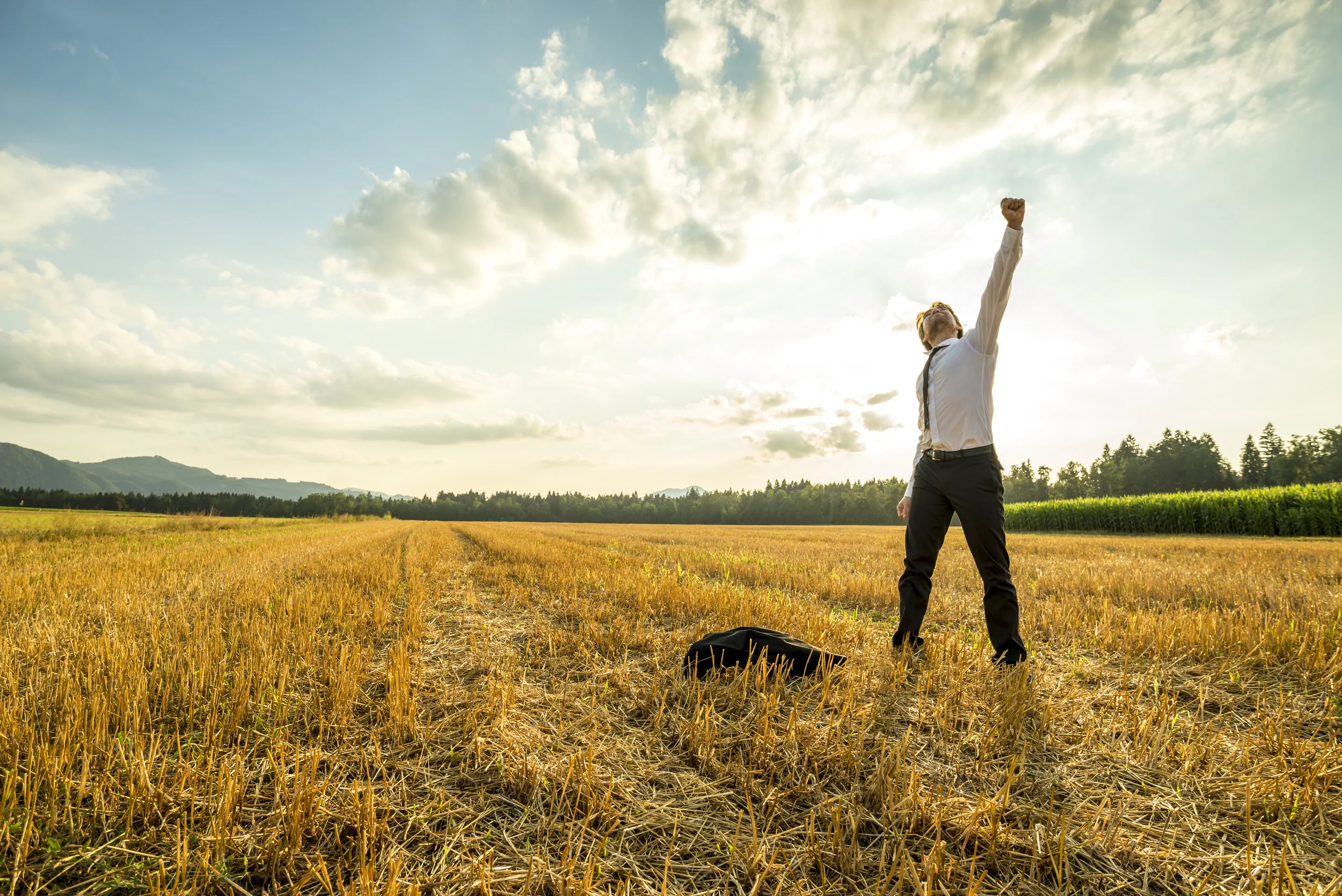 businessman-in-the-field-raising-arm-for-success-PLNK55N.jpg