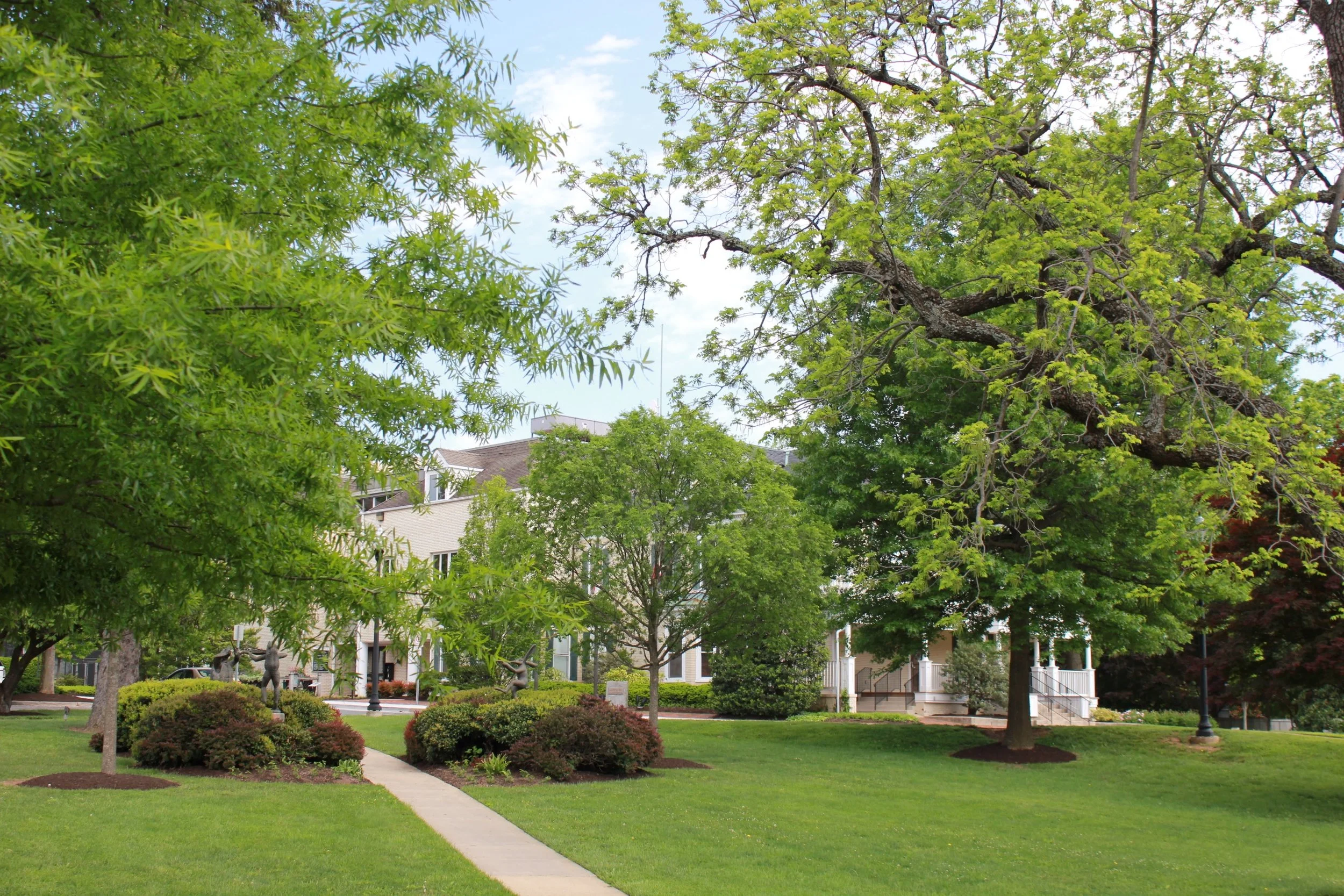 city hall.jpg