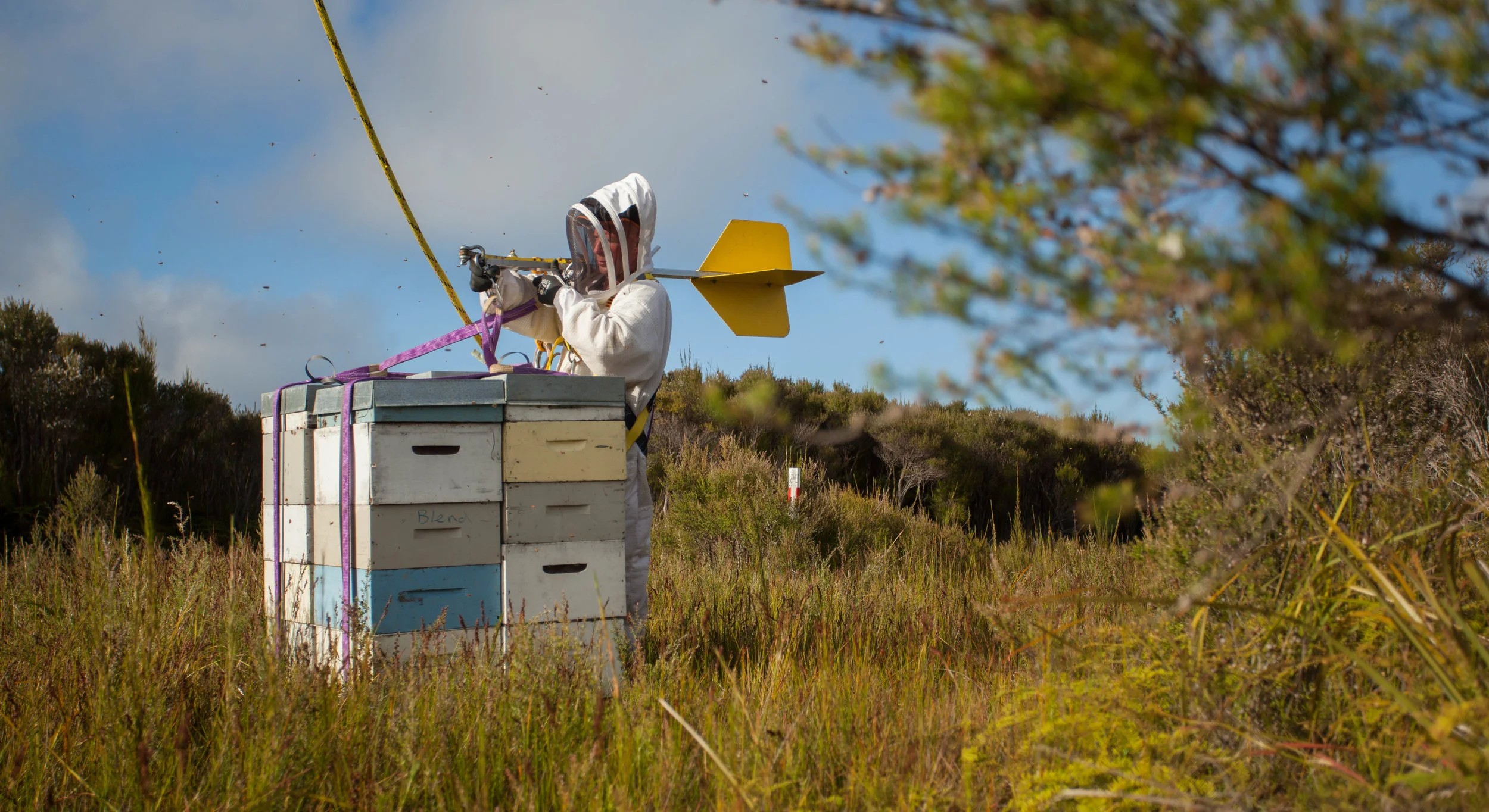 Unhooking on hives on their summer home