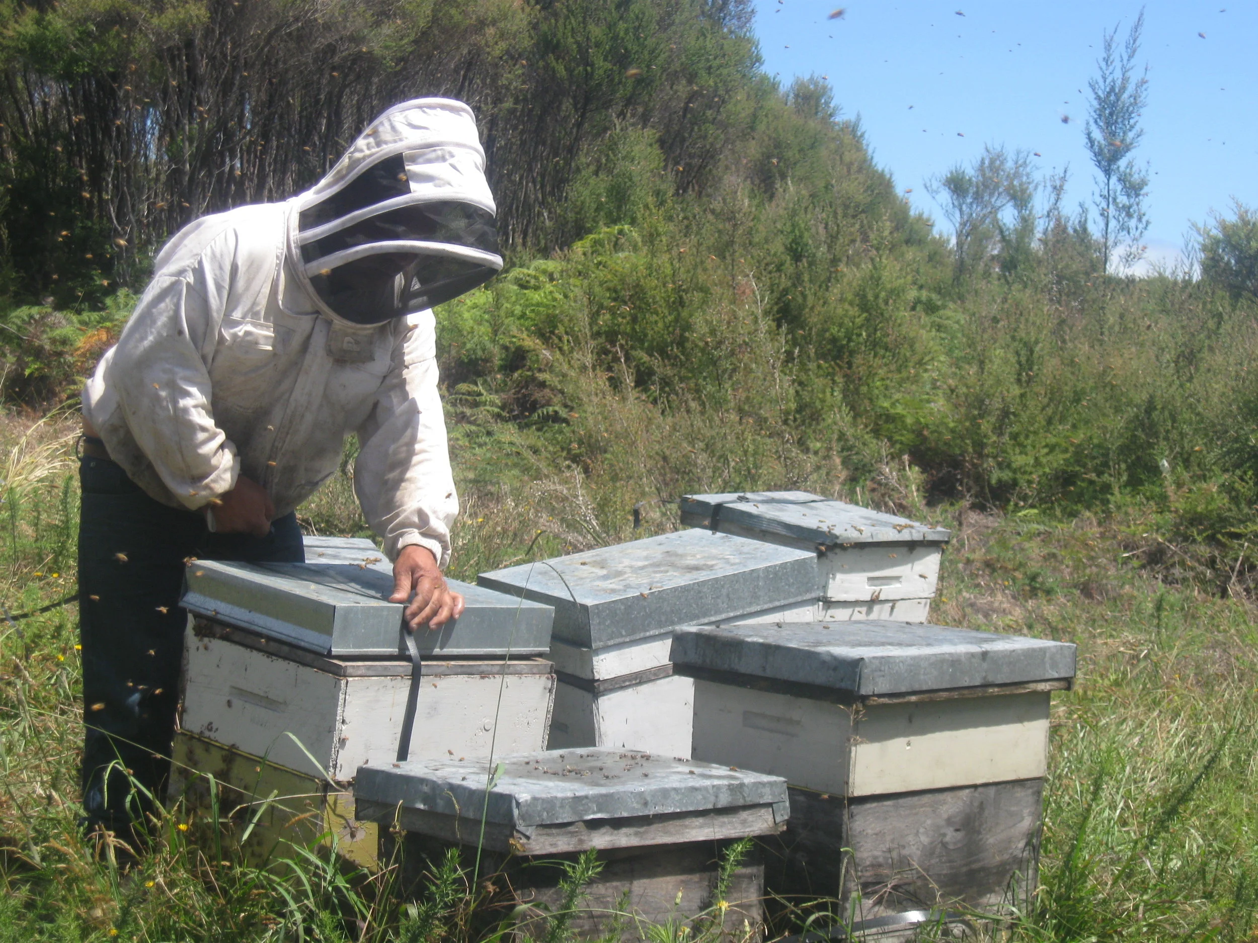 Strapping up a hive after checking