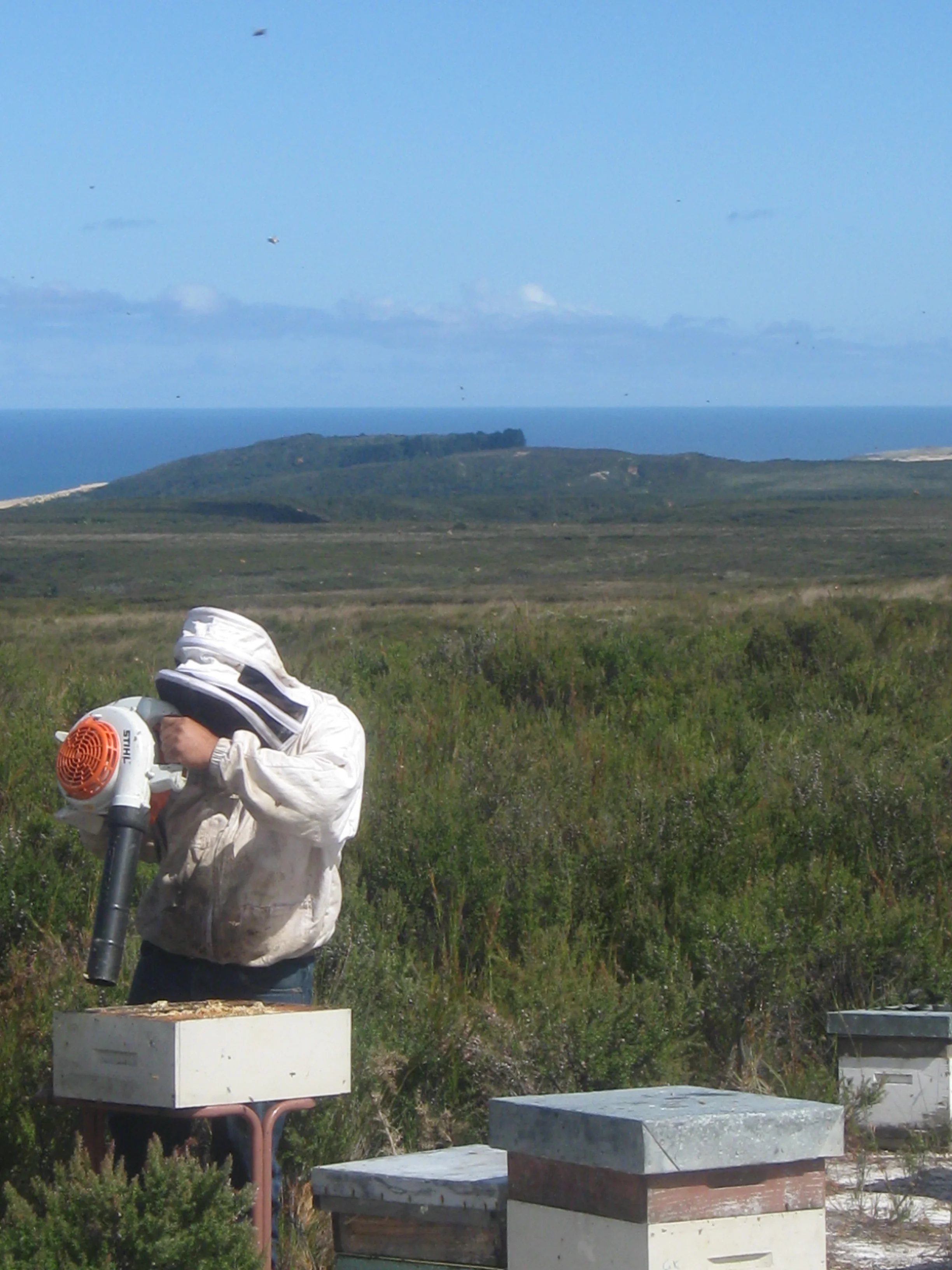 Look at the landscapes we work in!