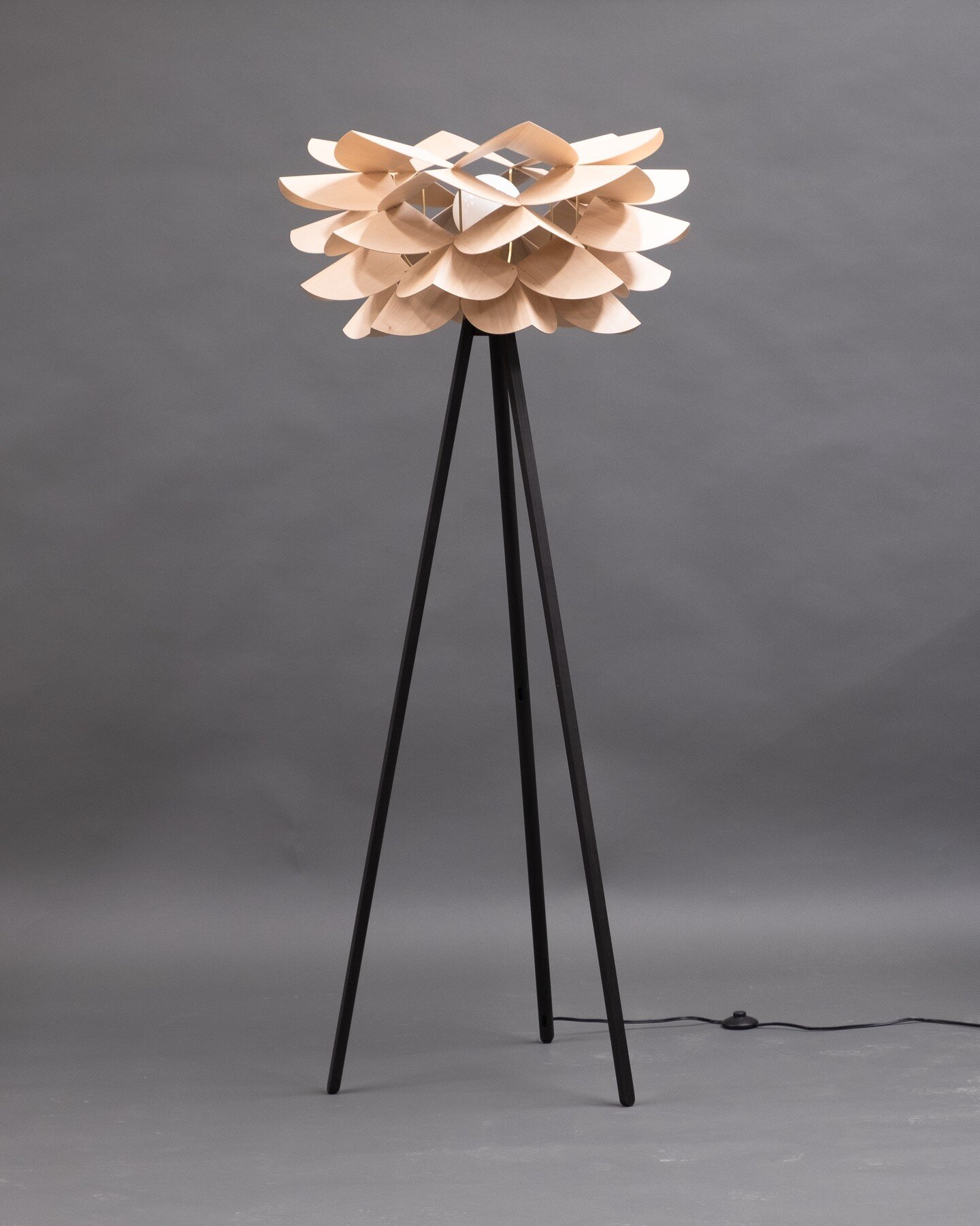 Last year I made an experimental pendant lamp with a shade made from maple veneer 'petals'. A few weeks ago I was asked if it could be adapted as a floor lamp, and that set me on an obsessive quest to make it work. This is the first prototype...there