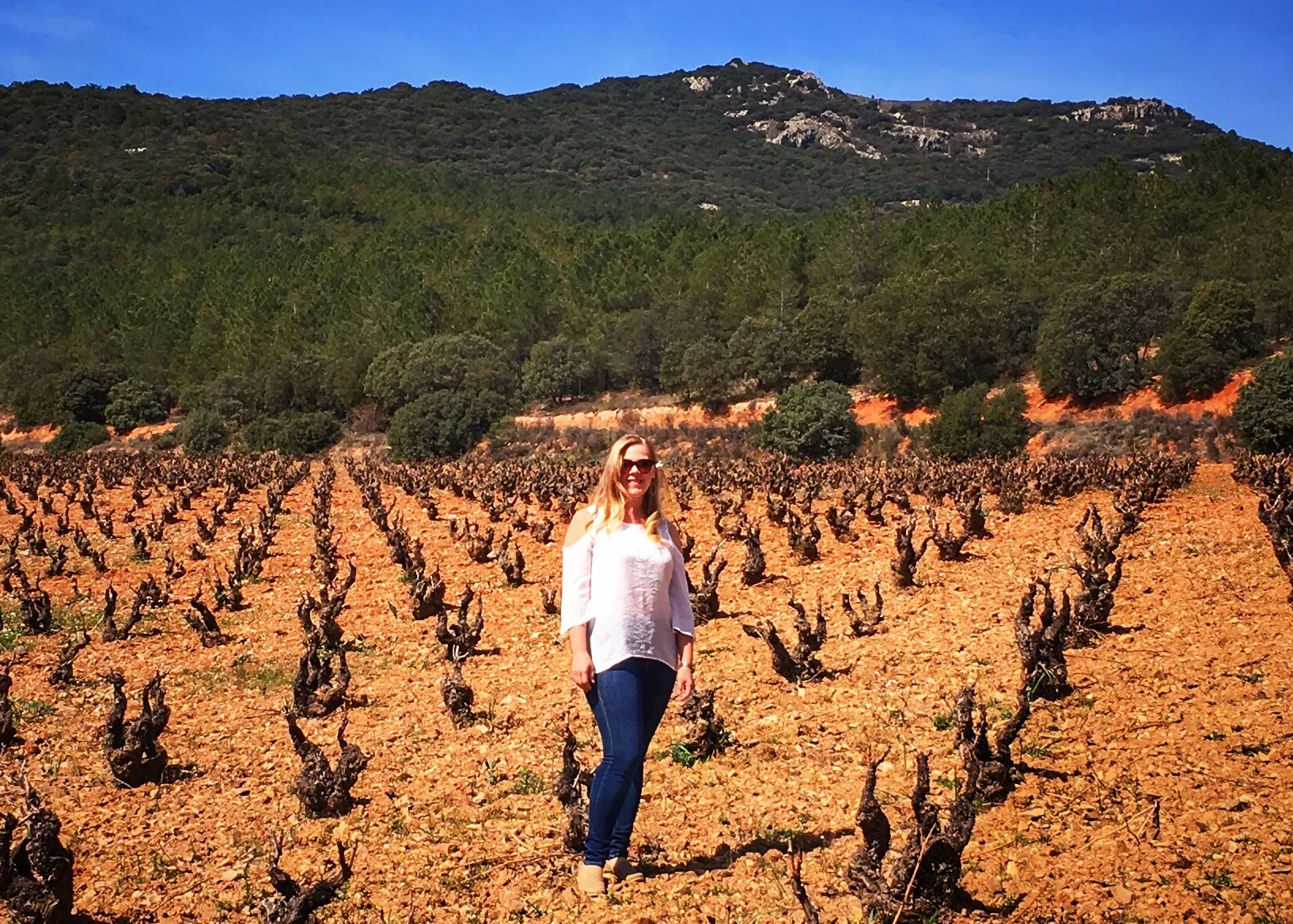 Old Vine Garnacha in one of the magical vineyards of co-op Bodegas Paniza in Cariñena, Spain.
