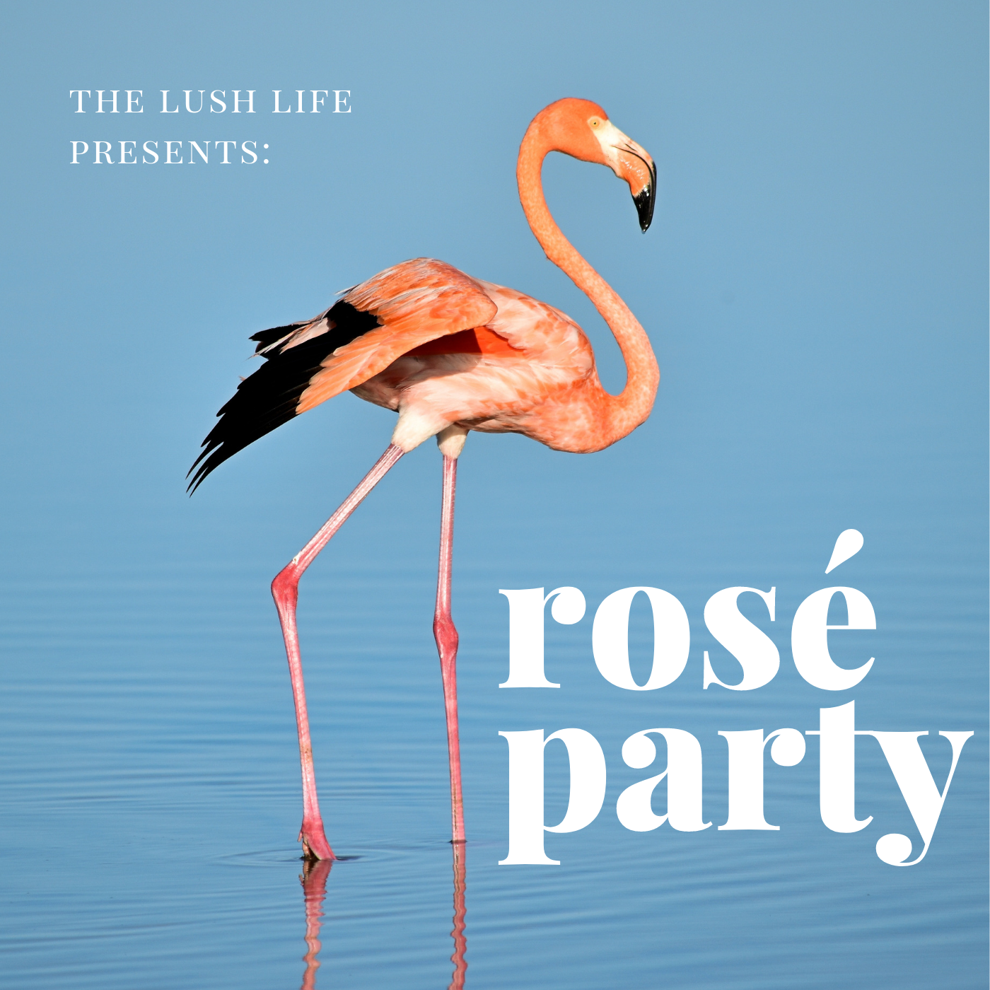 rose-party-playlist.png
