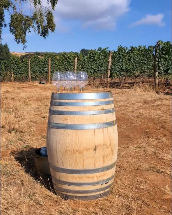 Summer scenes from the lovely Willamette Valley! 
Vines, grapes, and tomatoes galore, plus plenty of wonderful @archerysummit wines.

Peep my stories for more from this week 🌻✨🍷