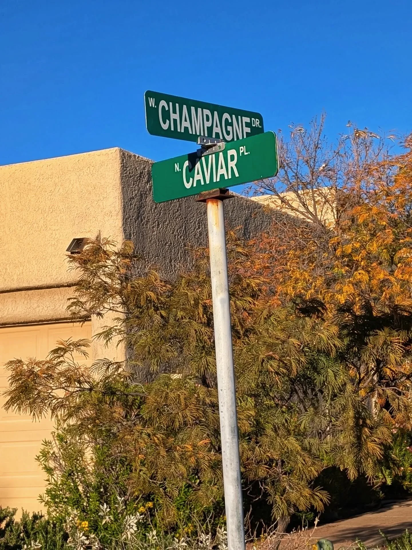 Escaped the deep freeze for a little time in the Southwest... Amazing what a little sunshine can do for a gal! ☀️🌵🩵

1. Discovered my future someday address on an evening walk 
2. Treated my sis @_missycamm_ and myself to a pool day at @jwstarrpass