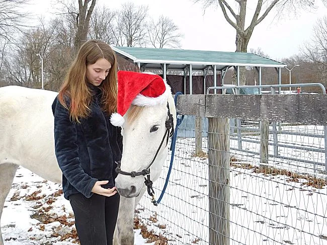 seaton-hackney-stables-morristown-nj.jpg