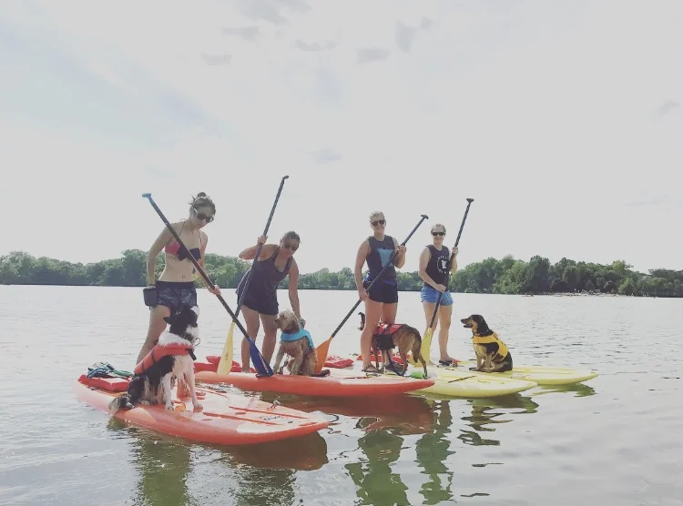 Dogs of MSP x Paddle North: SUP with your PUP!