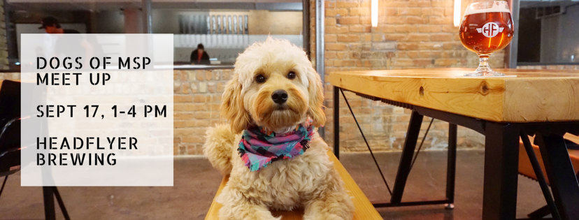 Dogs of MSP September Meet Up!