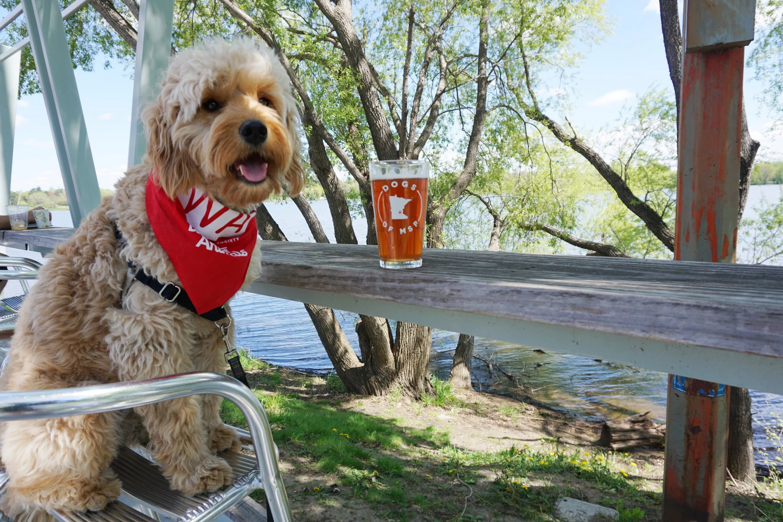 Maple Muppet Nokomis Pint Glass.JPG