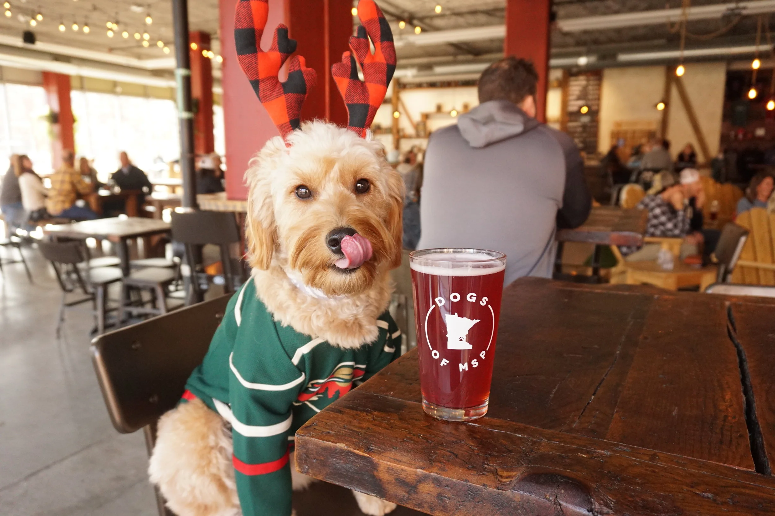 Maple Reindeer Tongue.JPG
