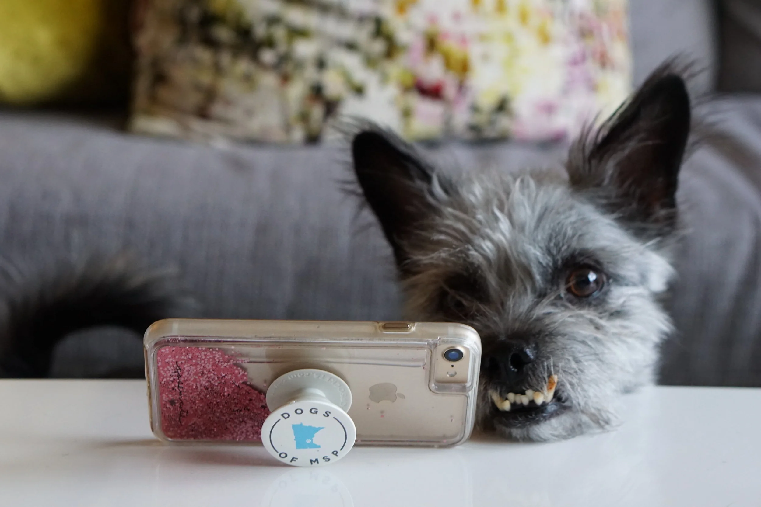 Pop socket Roscoe.JPG