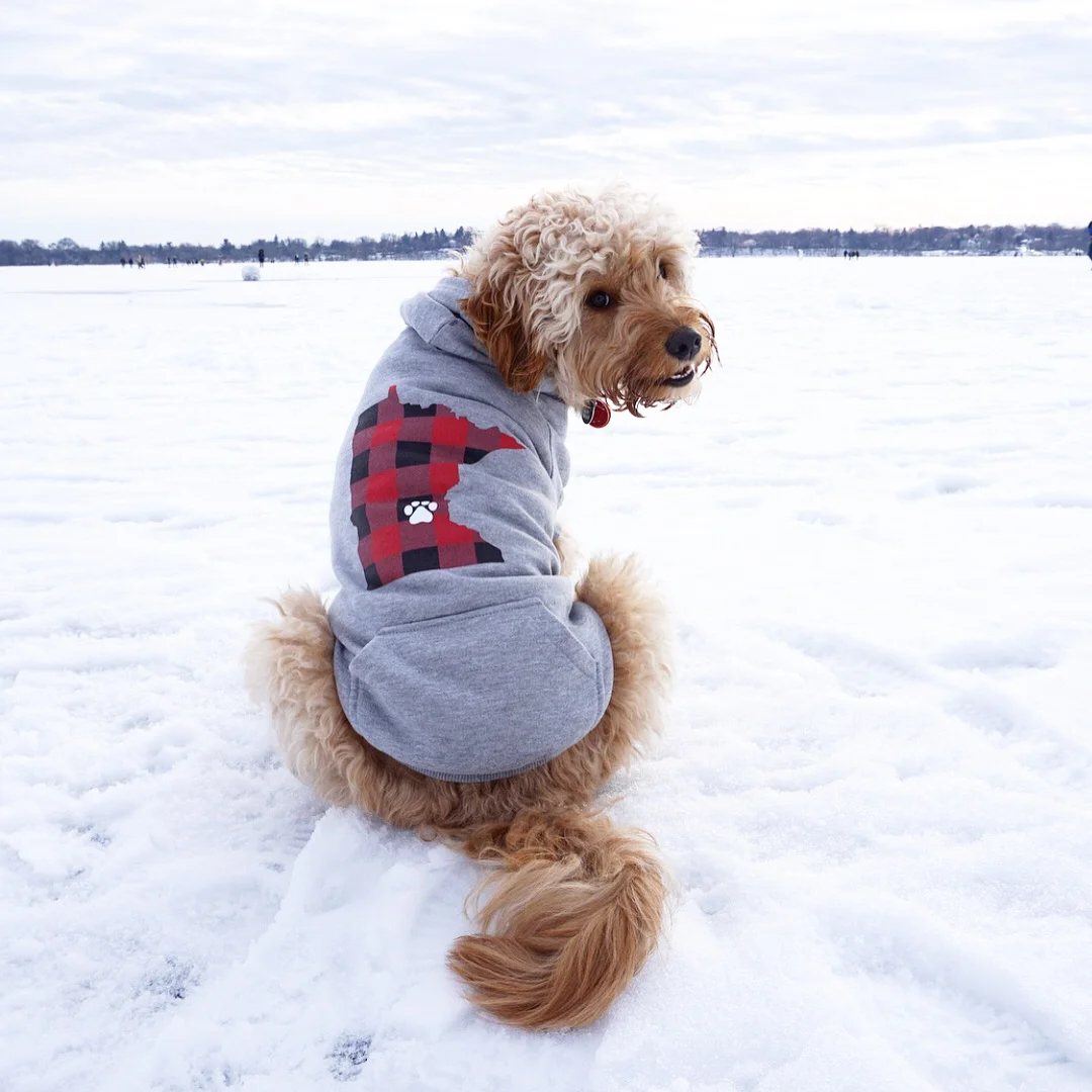 Maple Look Back Hoodie.JPG