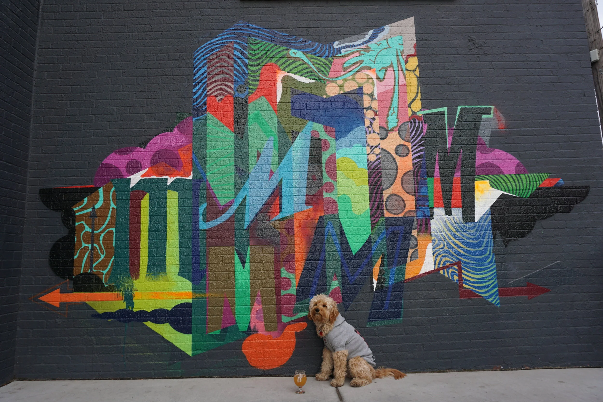 Dogs of MSP February Meet Up