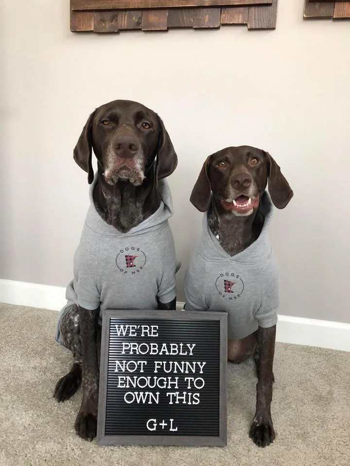 Pointer Problems Hoodie.jpg
