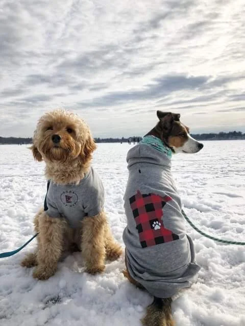 Sid and Maple Hoodies.JPG