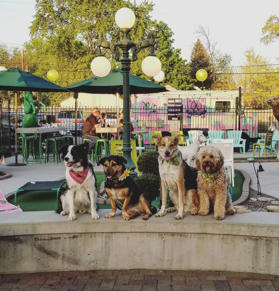 Betty Danger Pups.jpg