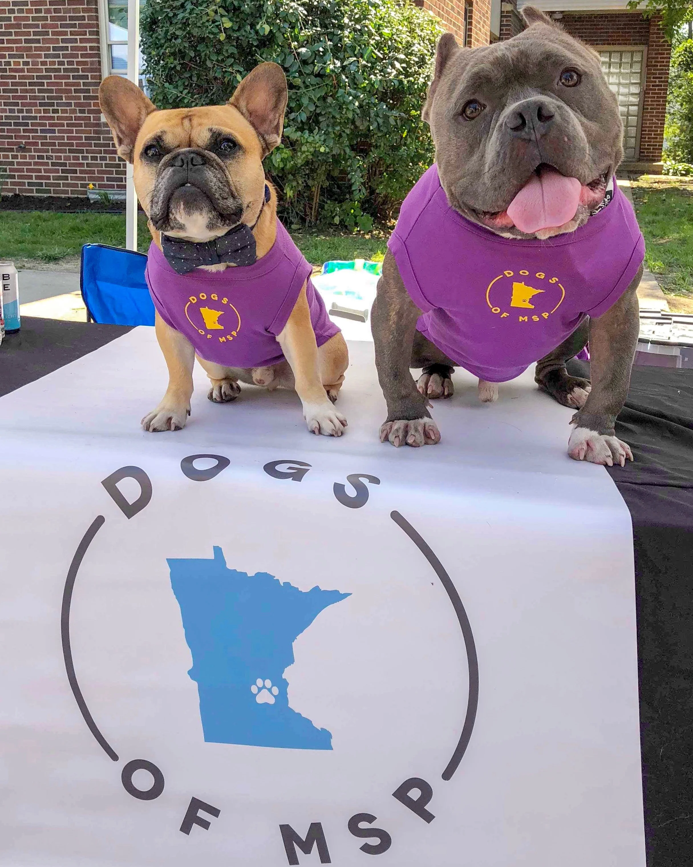 Gus Gus and Sherman.JPG