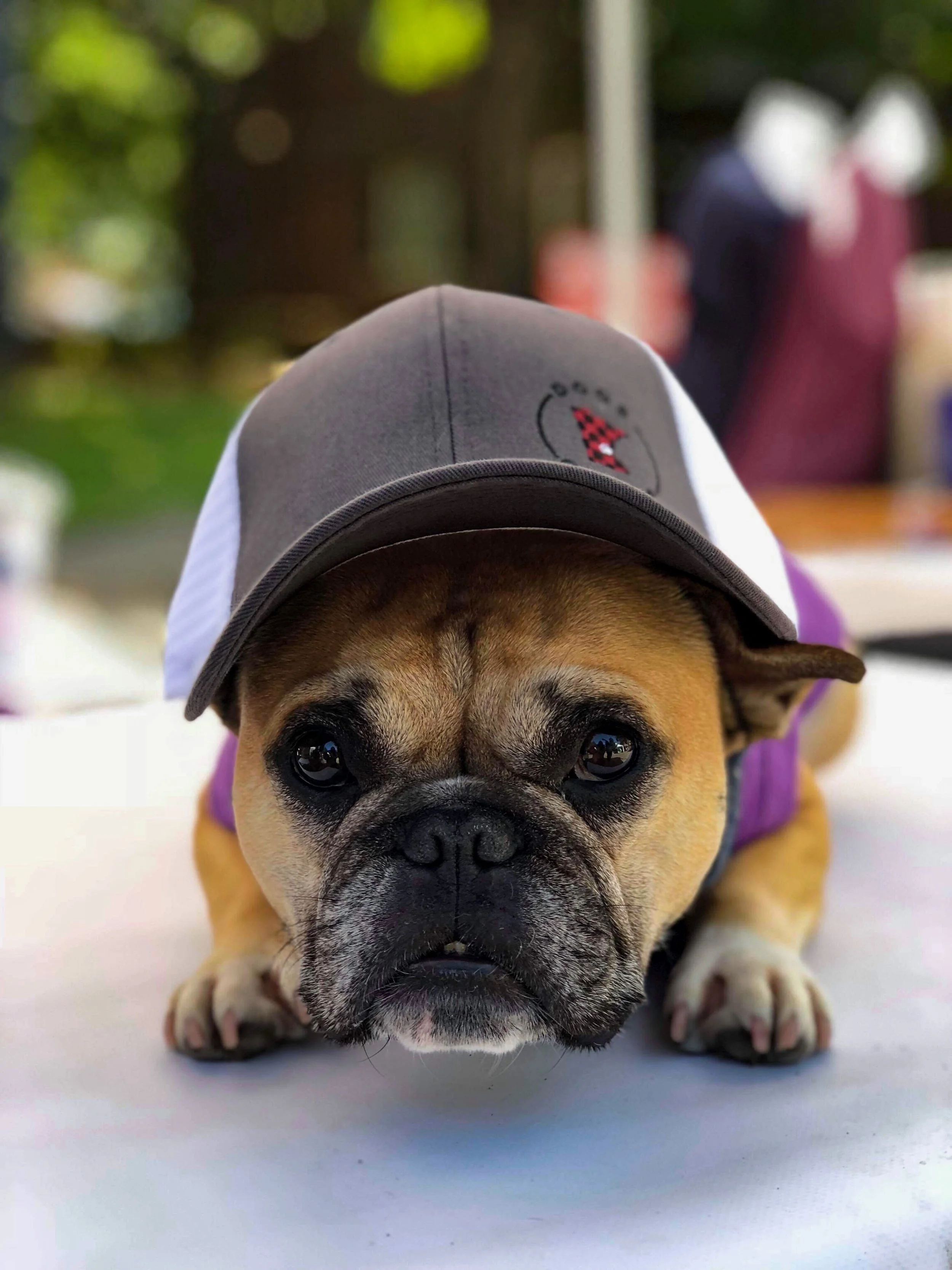 Gus Trucker Hat.JPG