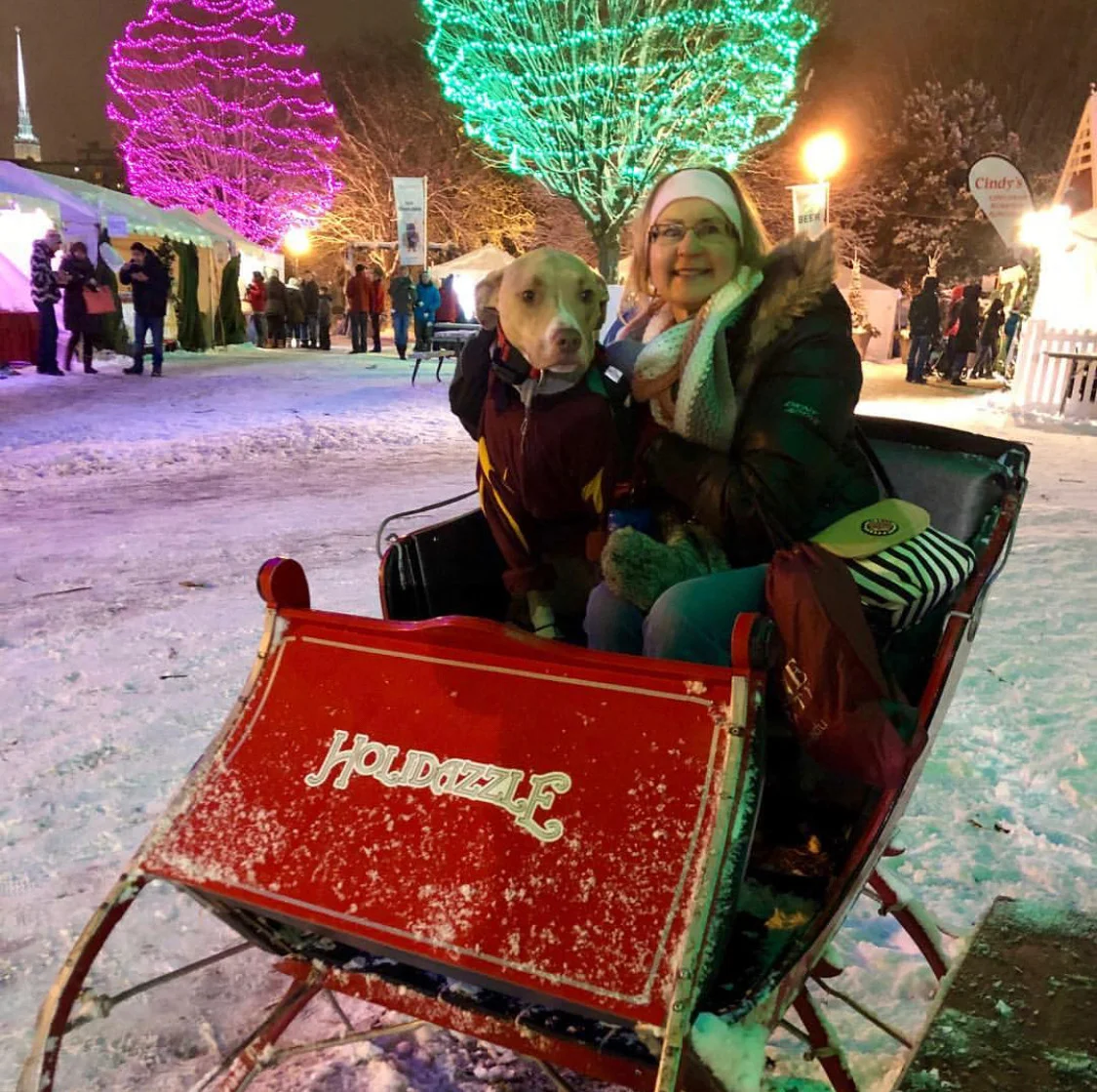 Dogs of MSP at Holidazzle