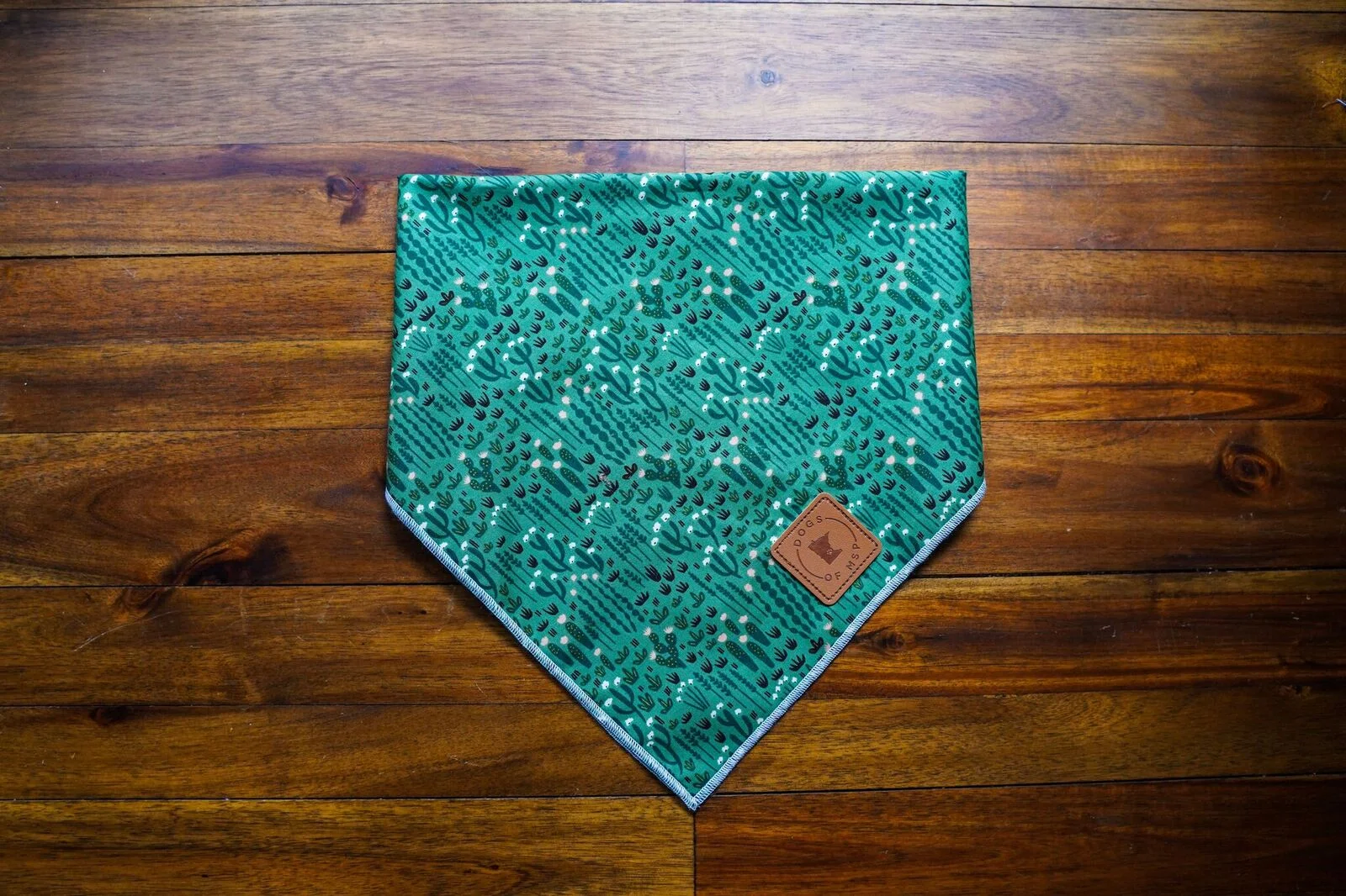 Cactus Bandana.jpeg
