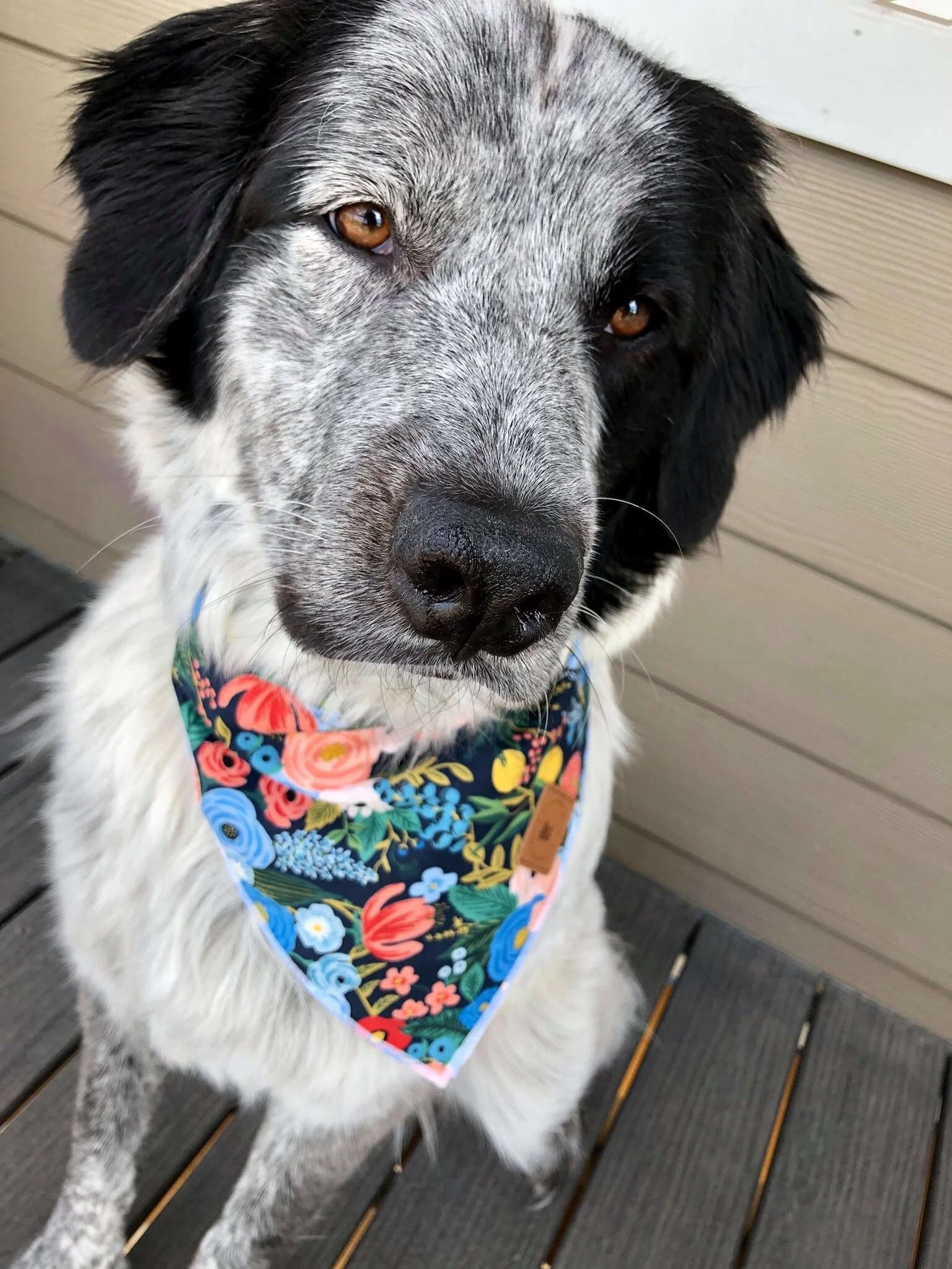 Navy Floral Bandana Pic.jpeg