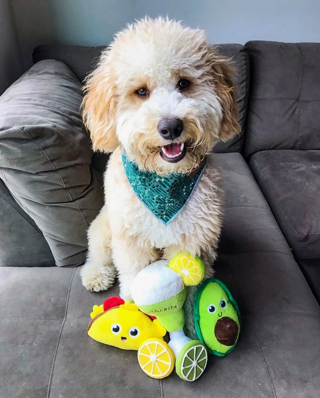 Kona Cactus Bandana.jpeg