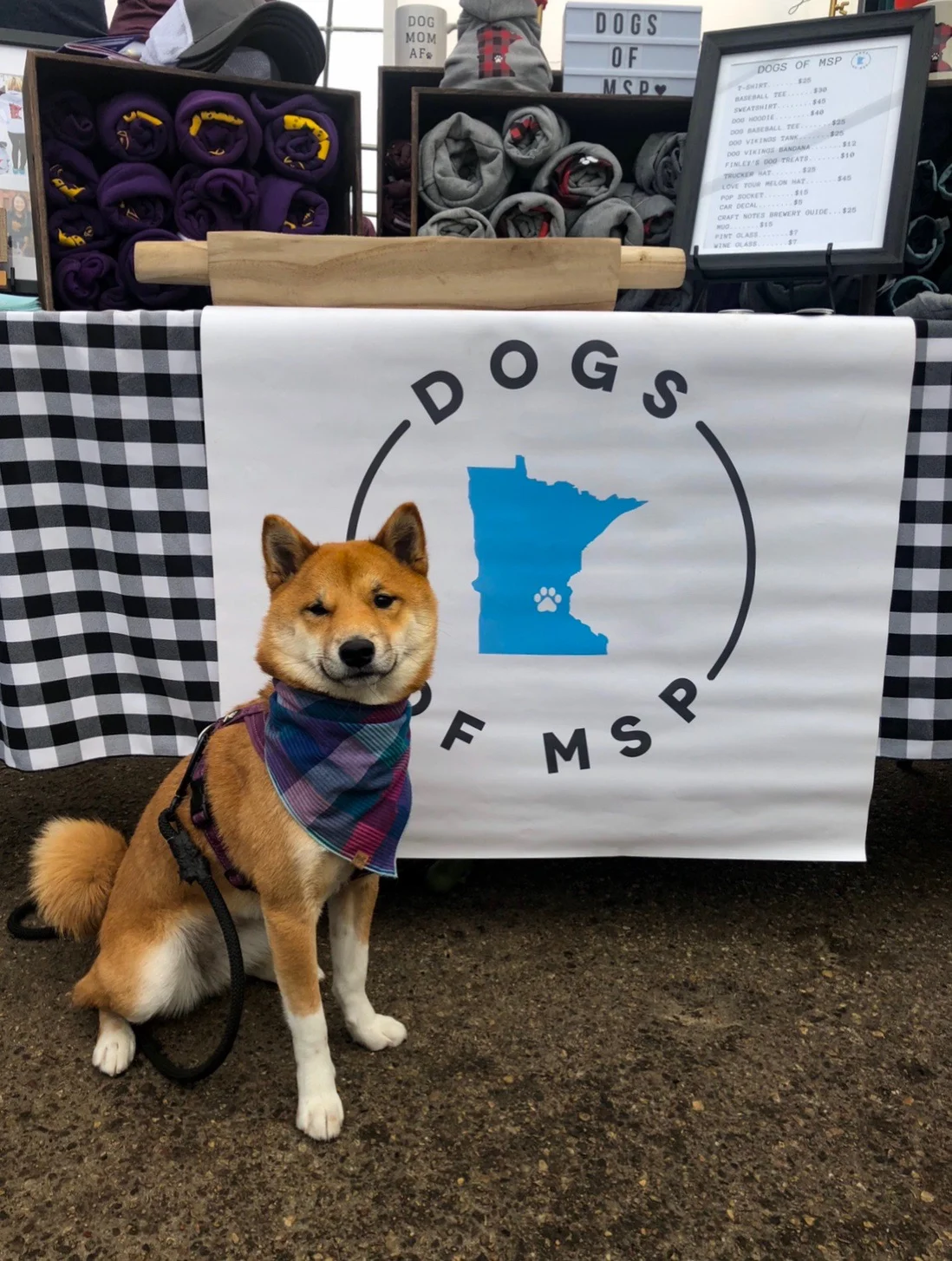 Anoka Food Truck Festival