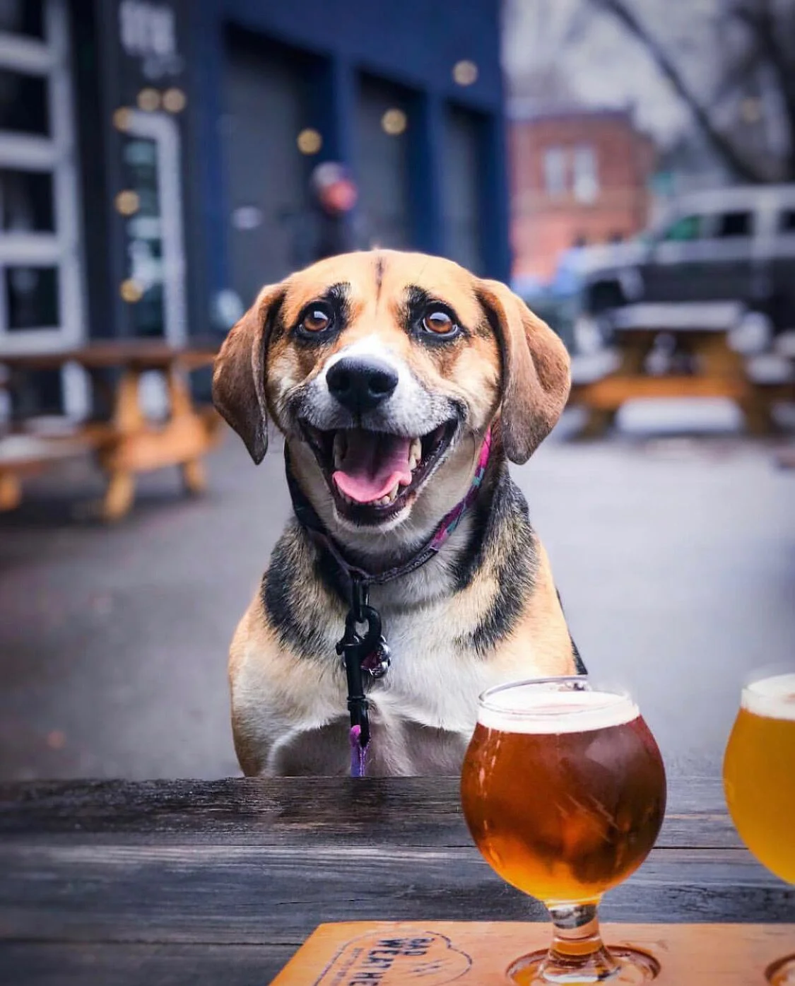 St. Paul Food Truck Festival