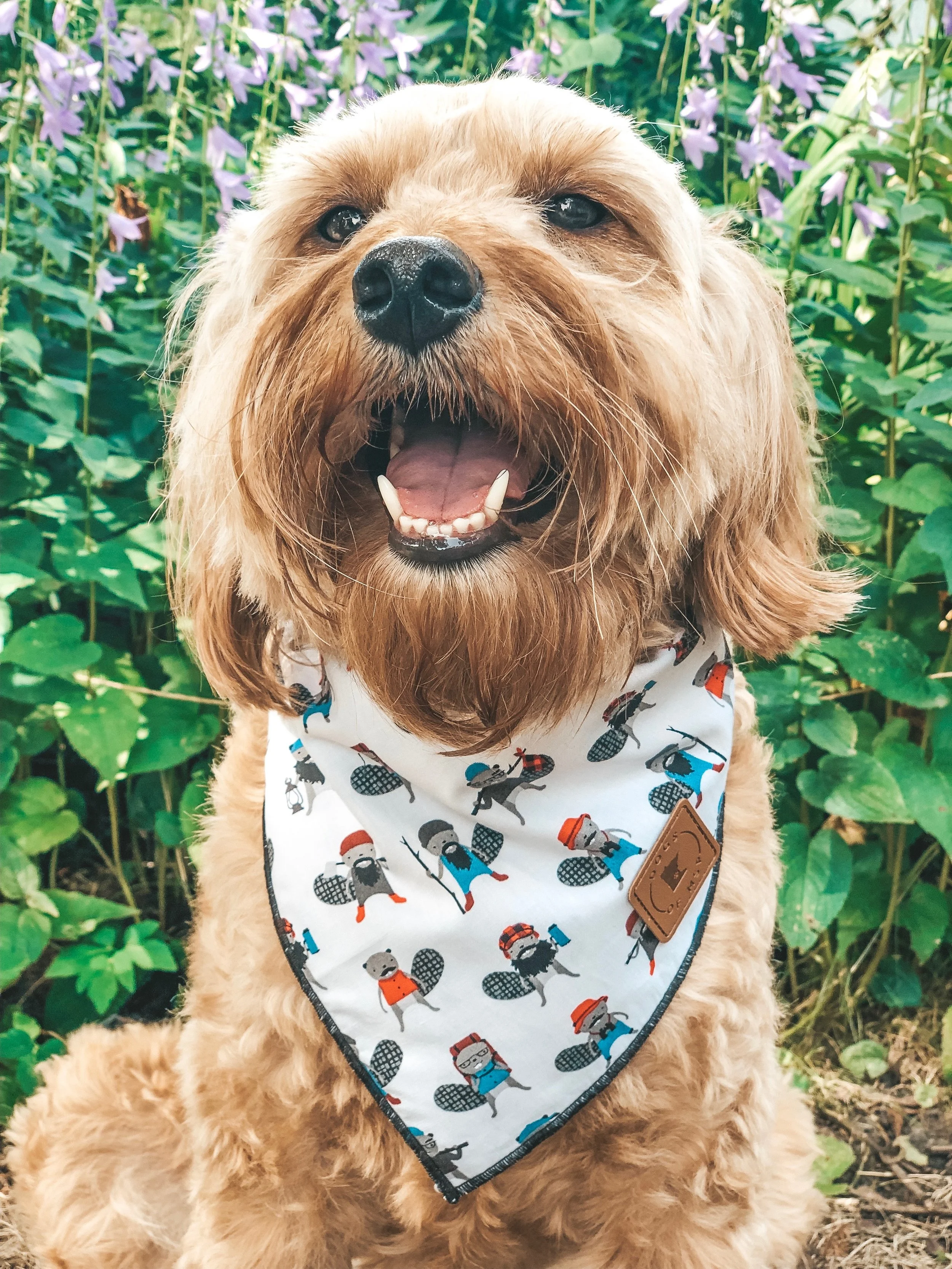 Maple Beaver Bandana.JPG